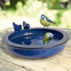 Bain Rond Bleu Pour Oiseau