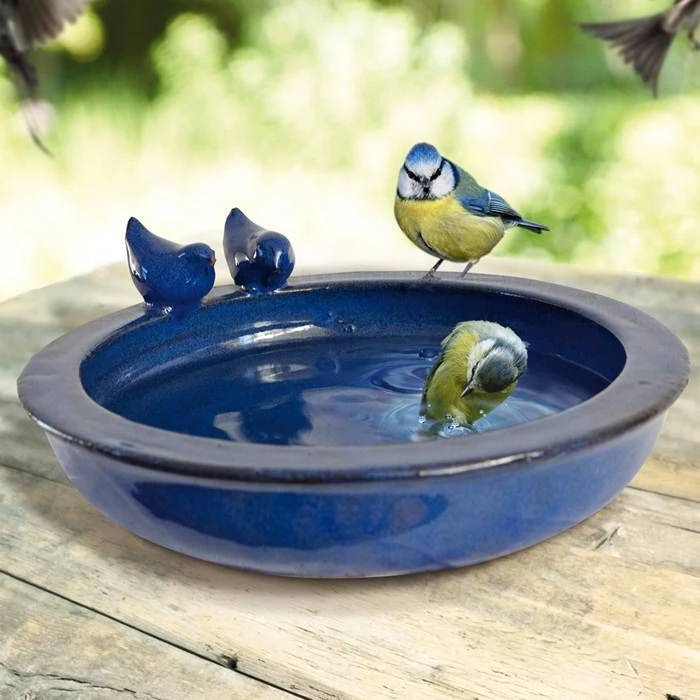 Bain Rond Bleu Pour Oiseau