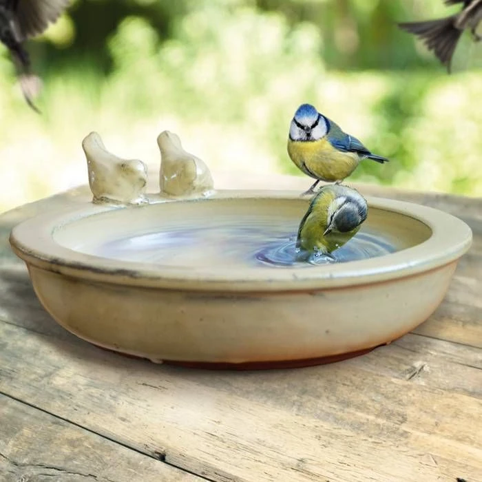 Bain Oiseaux Blanc/crème