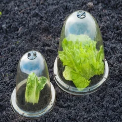 Cloche H20xø25cm Set De 3 Pièces