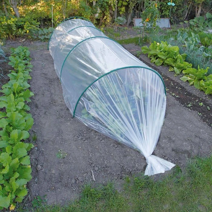 Film De Forçage Transparent