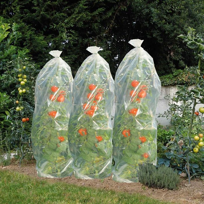Housse Pour Tomates 15mxø50cm Film 50µ