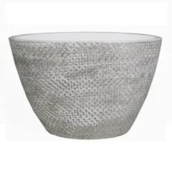 Coupe Sabine Blanche 31 Cm