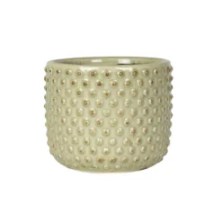 Pot Bolino Menthe 18 Cm