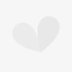 Pot Boule Naomi Vintage